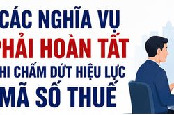 Người nộp thuế cần làm gì khi chấm dứt hiệu lực mã số thuế
