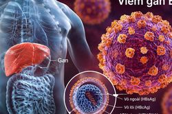 Những điểm mới trong hướng dẫn chẩn đoán và điều trị viêm gan B, C