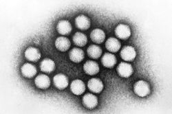 12 trẻ nhập viện vì Adenovirus, phụ huynh cần lưu ý dấu hiệu này