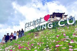 Ra mắt điểm check-in 'Chạm Lũng C&uacute;' nơi địa đầu Tổ quốc