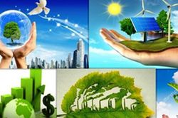 Tổ chức và hoạt động của Hội đồng quốc gia về phát triển bền vững
