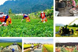 Chương trình công tác của BCĐ Trung ương thực hiện các Chương trình mục tiêu quốc gia