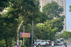 Thời tiết ng&agrave;y 27/7: Bắc Bộ nhiều nơi c&oacute; mưa r&agrave;o v&agrave; d&ocirc;ng, H&agrave; Nội ng&agrave;y nắng