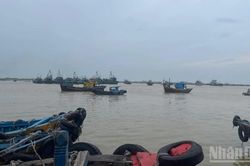 Lâm Đồng chấm dứt hợp đồng nạo vét cửa biển La Gi nếu chậm tiến độ