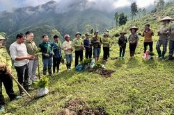 Chiềng Sinh trồng 163,73ha rừng từ nguồn Quỹ Dịch vụ m&ocirc;i trường rừng