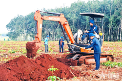 Nỗ lực tri ân bằng những việc làm thiết thực