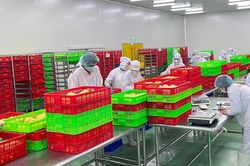 Xuất khẩu rau quả đạt gần 5 tỷ USD trong 7 th&aacute;ng