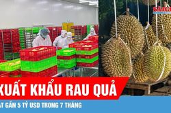 Xuất khẩu rau quả đạt gần 5 tỷ USD trong 7 tháng