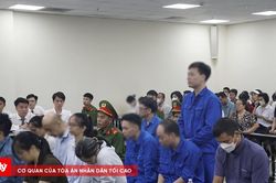 Chi&ecirc;u thức tinh vi của đường d&acirc;y sản xuất thực phẩm giả hơn 539 tỷ đồng tại MediPhar