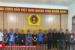 Tạm giữ 16 đối tượng cầm hung kh&iacute;, l&aacute;i xe nẹt p&ocirc; ở Gia Lai