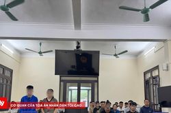 Xét xử hai bị cáo mua bán cần sa qua mạng xã hội