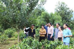 Hơn 55 tỷ đồng giúp xã vùng cao Điện Biên đổi thay
