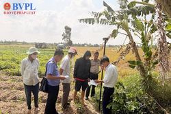 Vận động, thuyết phục đương sự tự nguyện thi h&agrave;nh &aacute;n: Giải ph&aacute;p hiệu quả, nh&acirc;n văn