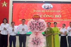 Đảng ủy x&atilde; Hải Lộc c&ocirc;ng bố quyết định th&agrave;nh lập chi bộ cơ sở Mầm non tư thục Hải Phượng
