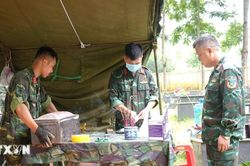 Đẩy nhanh tiến độ xác minh, quy tập các liệt sỹ trở về với gia đình, quê hương