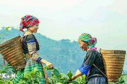 Chương trình công tác của BCĐ Trung ương thực hiện các Chương trình mục tiêu quốc gia