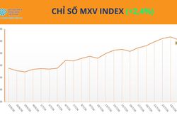 Lực mua áp đảo, MXV-Index tăng tuần thứ 5 liên tiếp