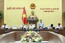 Đổi mới tư duy x&acirc;y dựng ph&aacute;p luật v&agrave; cải c&aacute;ch tư ph&aacute;p trong giai đoạn mới