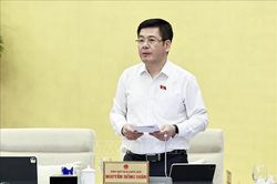 Quy định cơ chế, chính sách đặc thù đối với dự án xây dựng khu đô thị lấn biển tại Đà Nẵng
