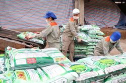 Supe L&acirc;m Thao b&aacute;o l&atilde;i qu&yacute; II giảm gần 87%