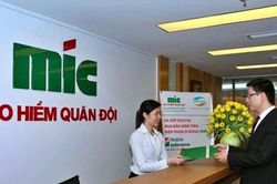 Doanh thu phí bảo hiểm tăng mạnh, Bảo hiểm Quân đội lãi hơn 117 tỷ đồng quý II/2026