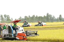 Theo đuổi năng suất hay gi&aacute; trị cho n&ocirc;ng nghiệp?