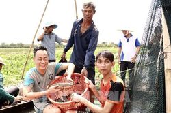 Bảo t&agrave;ng sống giữa Đồng Th&aacute;p Mười c&oacute; g&igrave; thu h&uacute;t du kh&aacute;ch?
