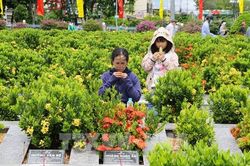 N&eacute;t đẹp Lễ giỗ anh h&ugrave;ng liệt sĩ ấm &aacute;p nghĩa t&igrave;nh tại Đồng Th&aacute;p