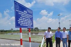 Xã Tiền Hải (Hưng Yên): Bàn giao, đưa vào sử dụng công trình cảnh báo an toàn giao thông