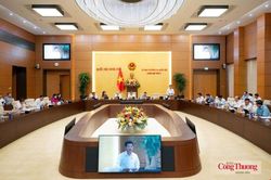 Xem x&eacute;t cơ chế đặc th&ugrave; x&acirc;y dựng đ&ocirc; thị lấn biển tại Đ&agrave; Nẵng