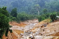 Chủ động ứng phó mưa lớn, gió mạnh trên biển ở Trung Bộ và Nam Bộ