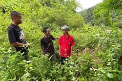 Quảng Trị: Tiếp nhận thông tin về mộ liệt sĩ chưa được quy tập trên đất Lào