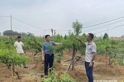 T&acirc;n Ninh 'D&acirc;n vận kh&eacute;o' theo lời B&aacute;c dạy