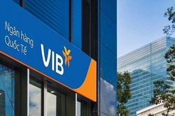 Tăng gấp đôi trích lập dự phòng, lợi nhuận VIB quay đầu giảm trong quý II