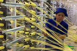 Doanh nghiệp An Giang vững vàng trước cạnh tranh