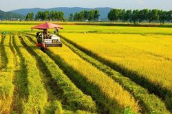Bắc Ninh: Thu hẹp khoảng c&aacute;ch đ&ocirc; thị v&agrave; n&ocirc;ng th&ocirc;n