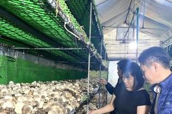 Hướng đến nền nông nghiệp hiện đại