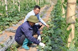 Nậm Kè hiện thực hóa mục tiêu giảm nghèo