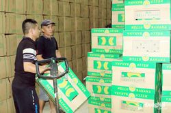 Việt Nam phấn đấu có 45 ngàn hợp tác xã vào năm 2030