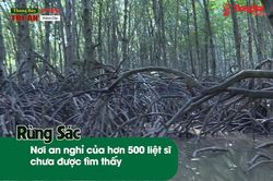 [Chuỗi video] Tháng Bảy tri ân: Rừng Sác – Nơi an nghỉ của hơn 500 liệt sĩ chưa được tìm thấy