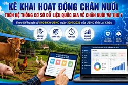 Kê khai hoạt động chăn nuôi tỉnh Lai Châu trên Hệ thống Cơ sở dữ liệu Quốc gia về chăn nuôi và thú y