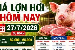 Giá lợn hơi hôm nay 27/7: Miền Bắc cao nhất 65.000 đồng/kg