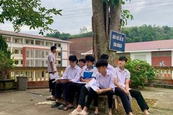 Bộ Gi&aacute;o dục v&agrave; Đ&agrave;o tạo t&iacute;nh phương &aacute;n tổ chức thi tốt nghiệp trung học phổ th&ocirc;ng nhiều đợt trong năm