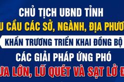 Chủ tịch UBND tỉnh y&ecirc;u cầu c&aacute;c sở, ng&agrave;nh, địa phương khẩn trương triển khai đồng bộ c&aacute;c giải ph&aacute;p ứng ph&oacute; mưa lớn, lũ qu&eacute;t v&agrave; sạt lở đất