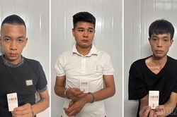 Lào Cai: Khởi tố 4 bị can trong vụ mua bán, tổ chức sử dụng trái phép chất ma túy