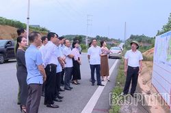 Kiểm tra thực địa vị trí quy hoạch Cụm công nghiệp Phú Mỹ 1