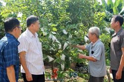 Những cựu chiến binh trong thời bình
