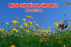 Dự b&aacute;o thời tiết to&agrave;n tỉnh Sơn La ng&agrave;y 28/7/2026