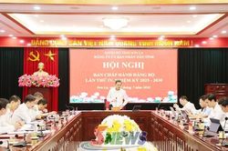 Hội nghị Ban Chấp h&agrave;nh Đảng bộ UBND tỉnh lần thứ IV, nhiệm kỳ 2025 -2030