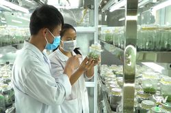 Tháo gỡ điểm nghẽn để nghị quyết đi vào cuộc sống